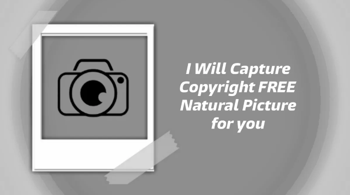 I will capture copyright free natural picture for you
