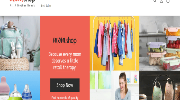 I will do ecommerce website development